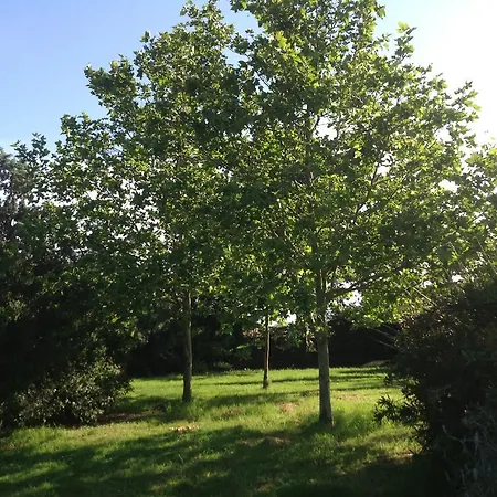 Séjour à la campagne Agriturismo La Fattoria Del Mortelliccio *